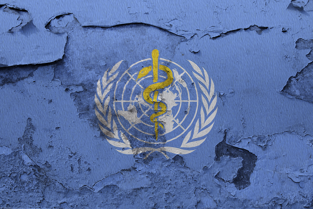 Данные оон украина. Флаг воз. Флаг всемирной организации здравоохранения. Флаг воз фото. United Nations Ukraine.