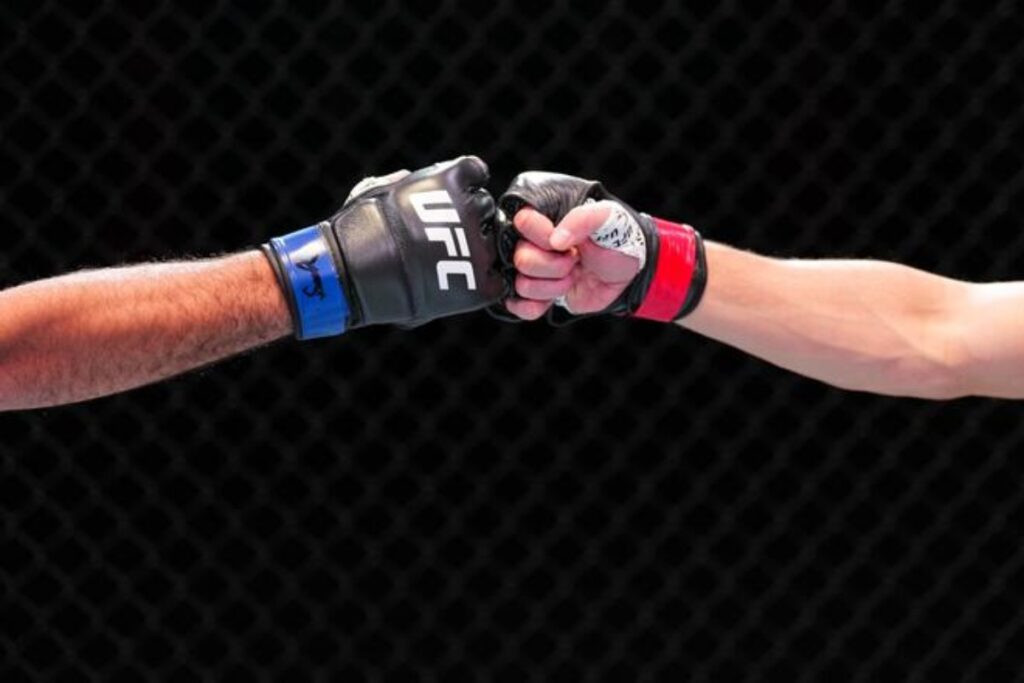 UFC впервые проведет турнир в Сербии 1 220424.10.27