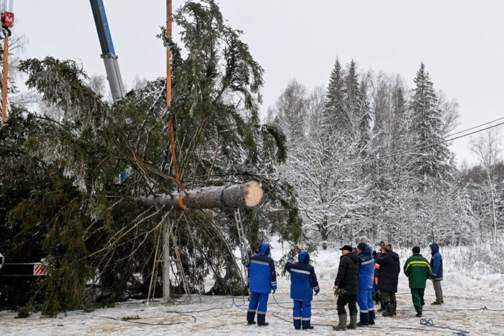 Нашедшему главную елку страны лесничему подарили машину 1 091224.11.06
