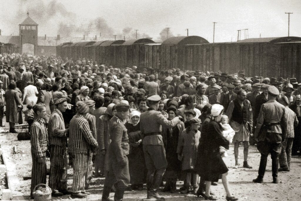 selection on the ramp at auschwitz birkenau 1944 auschwitz album 1a