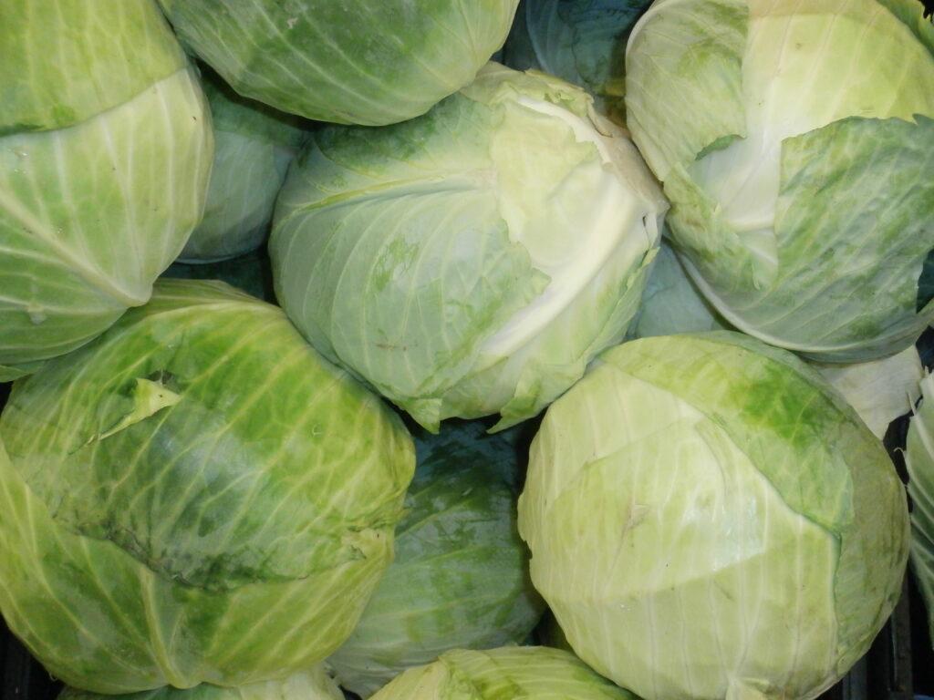 cabbage in a stack