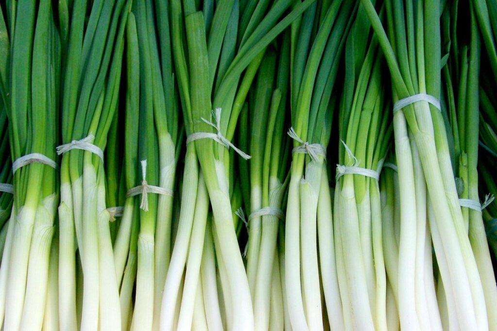 Забудьте о стрелках: и речь не только о колготках — лучший способ посадить лук 1 0160925.10.42