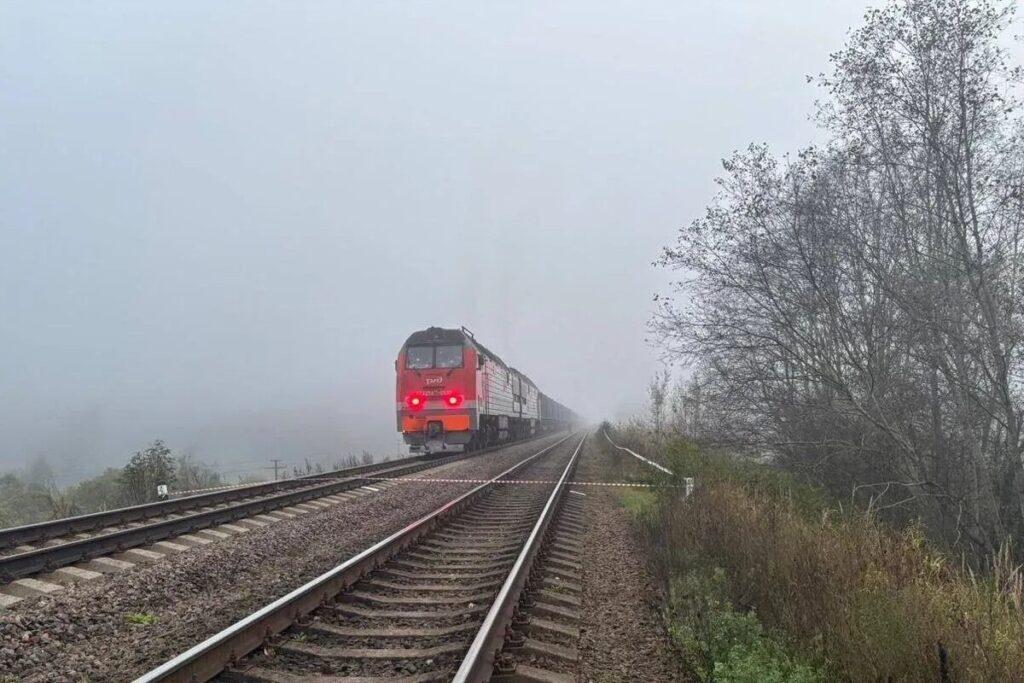 Взрыв прогремел на железнодорожных путях под Псковом 1 53820539918668257591