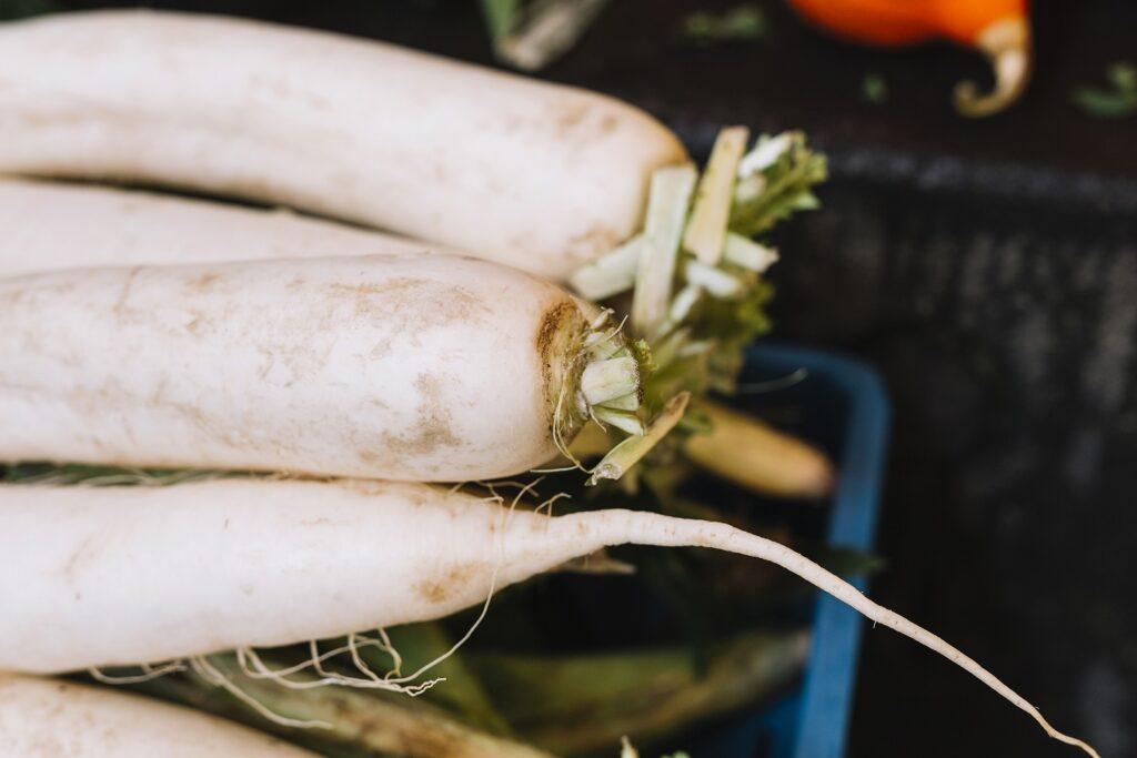 close up white daikon radish