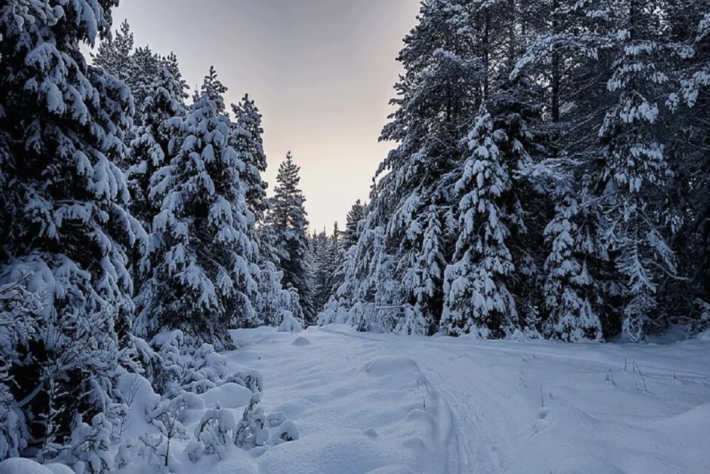 Зимняя сказка в России: куда поехать на Новый год, чтобы удивиться 1 ch30122025.22.43