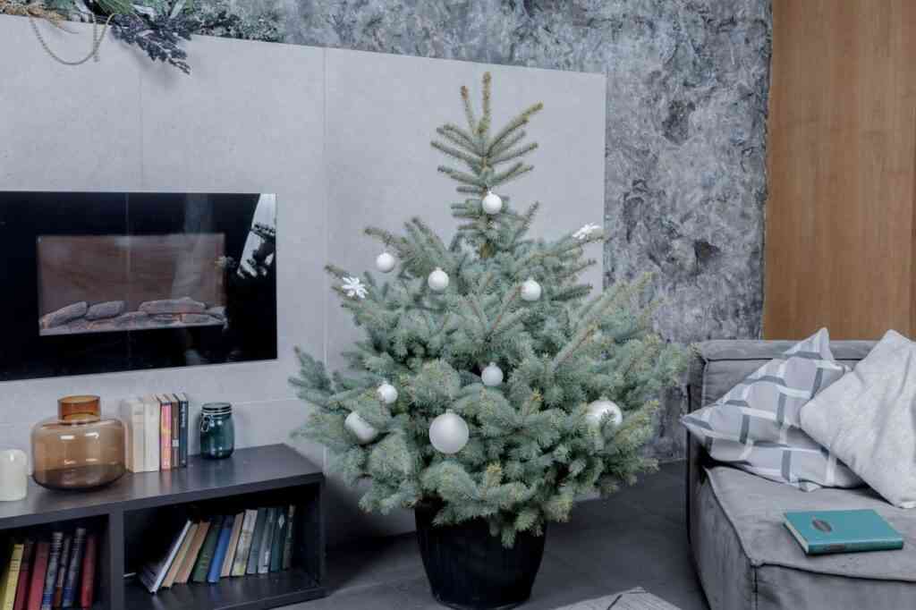 Как украсить живую елку в 2025 7 photo 2025 12 12 11 45 47