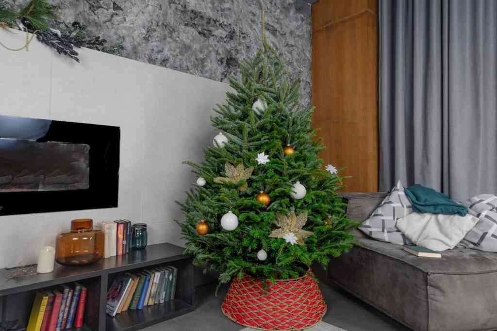 Как украсить живую елку в 2025 10 pihta fraser 1