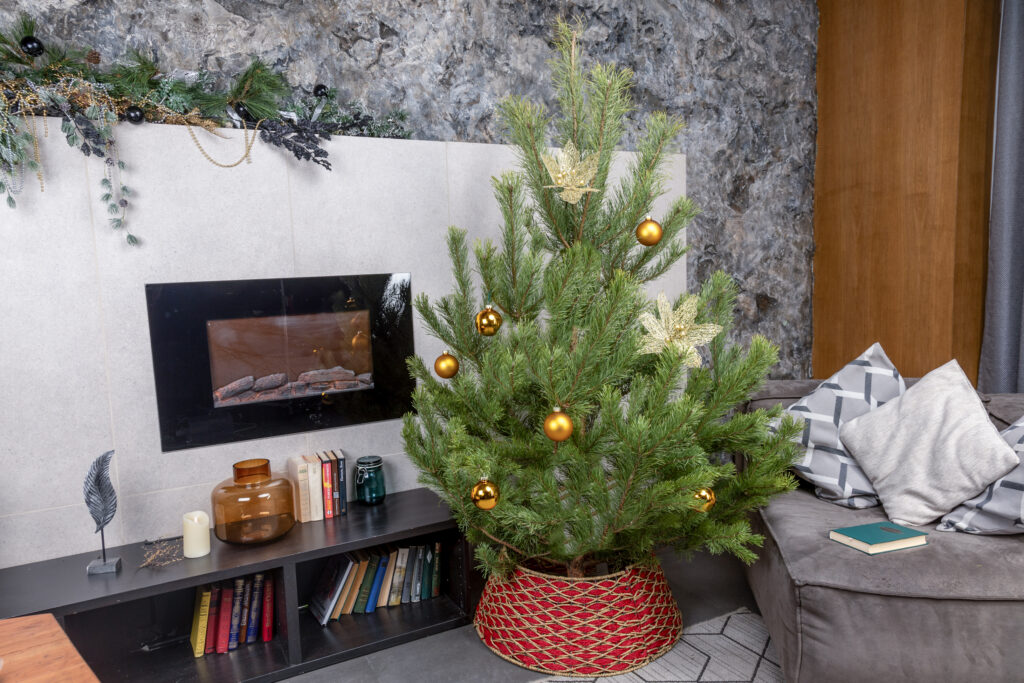 Как украсить живую елку в 2025 4 sosna neobyknovennaya 1 9