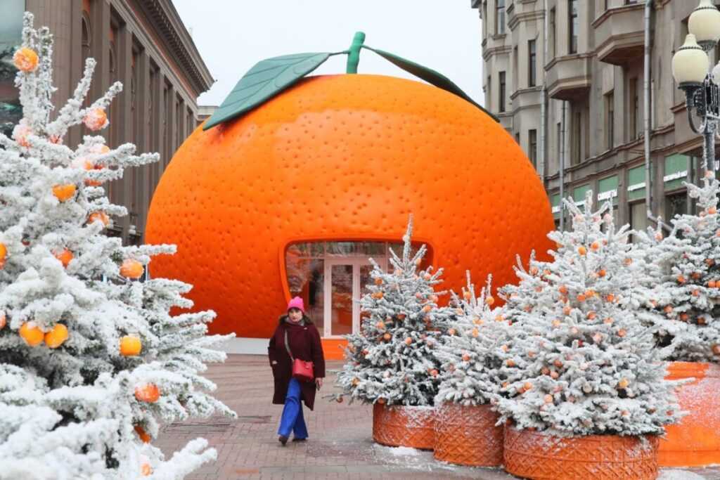 От сорта до проверки свежести: как выбрать спелые и сладкие мандарины 1 yu111225.10.09