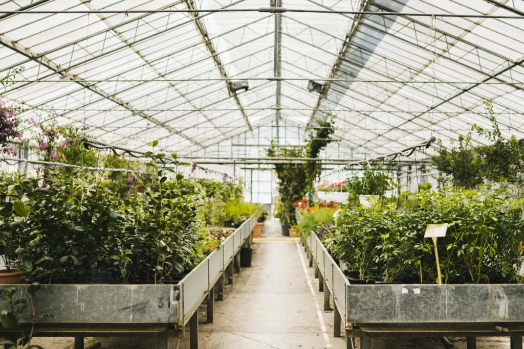 Три теплицы за пять лет: почему поликарбонат больше не держит зиму и чем его заменить 1 o200126.12.50