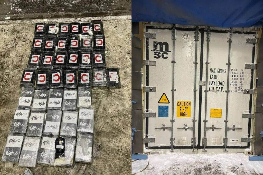 Таможенники в Петербурге задержали 40 кг кокаина из Латинской Америки 1 yu050125.11.02