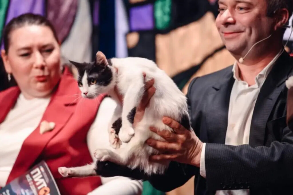 Эксперт СМИ2 рассказал, какая помощь нужна фронтовым котам 2 koshki