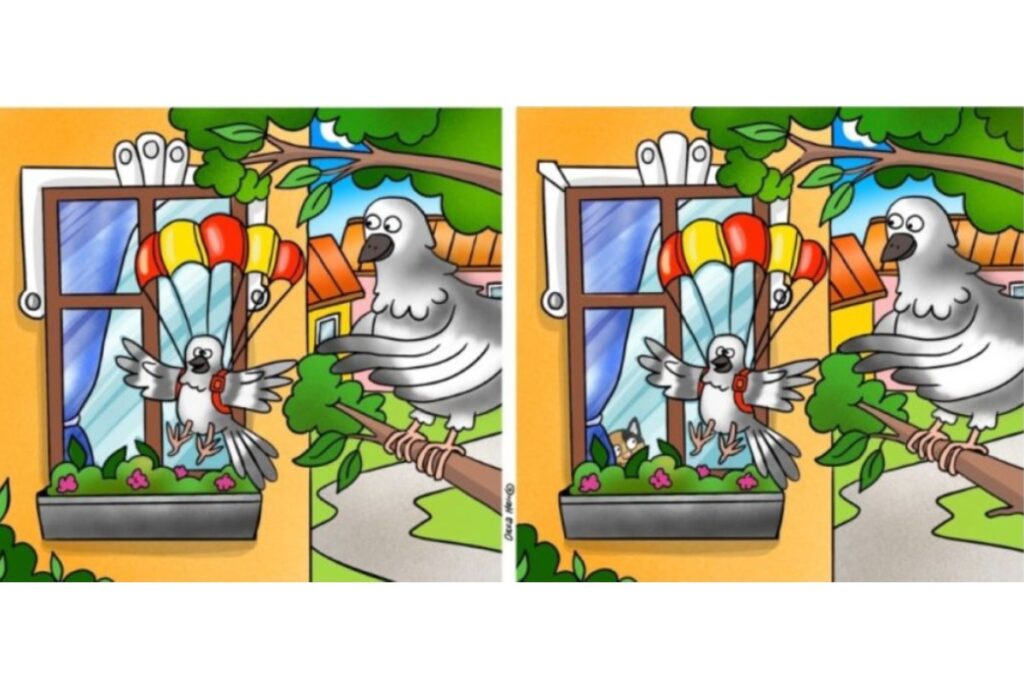 Голубь-парашютист и 10 отличий: успеете найти все за 44 секунды? 1 o040326.14.51