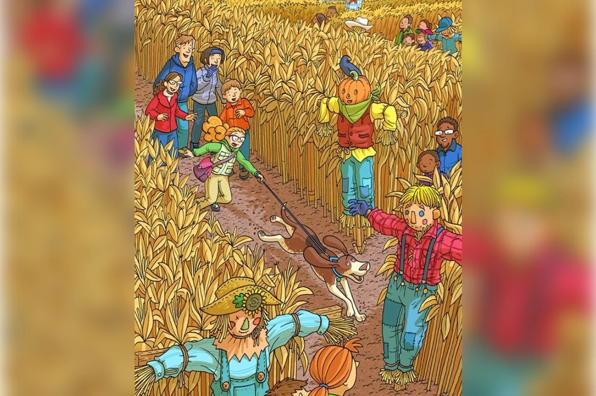 1 1 3