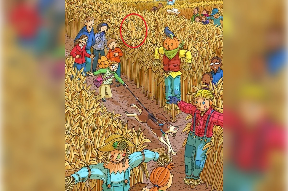 2 1 1