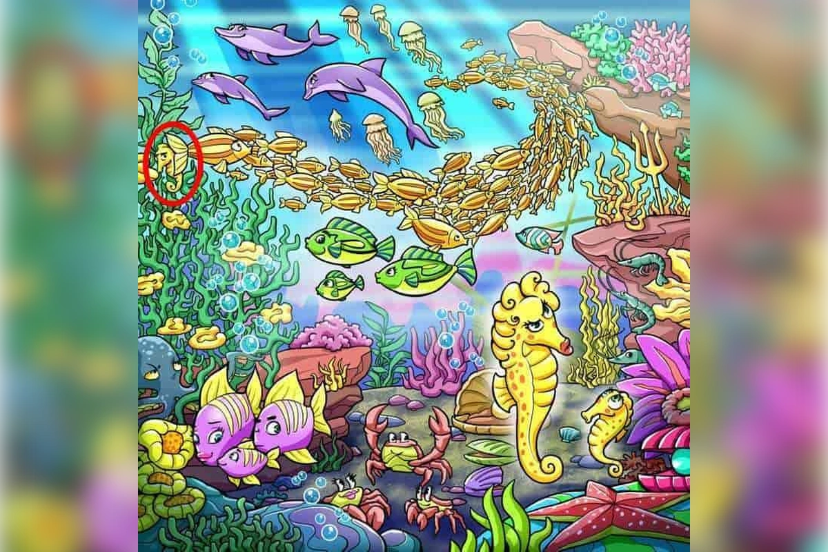 Ловушка для глаз: найдите морского конька за 15 секунд 2 2