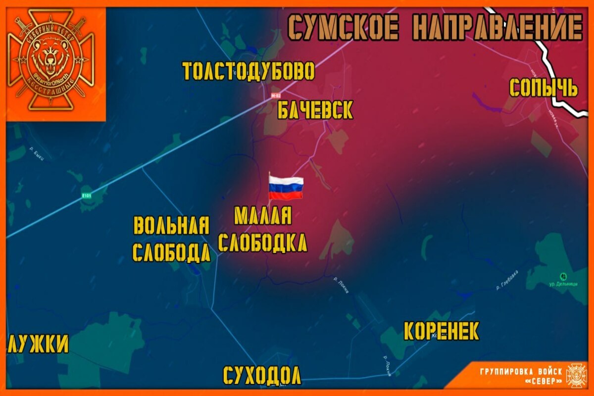 kartinka