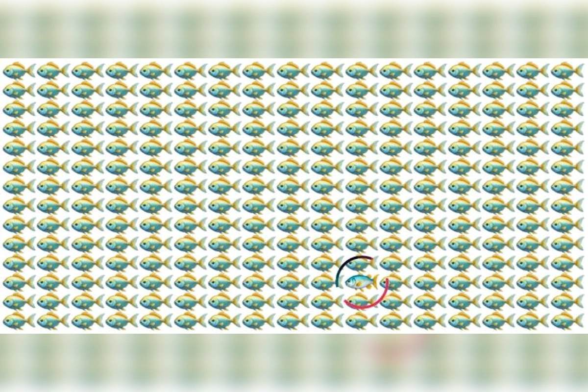 o010726.9.26