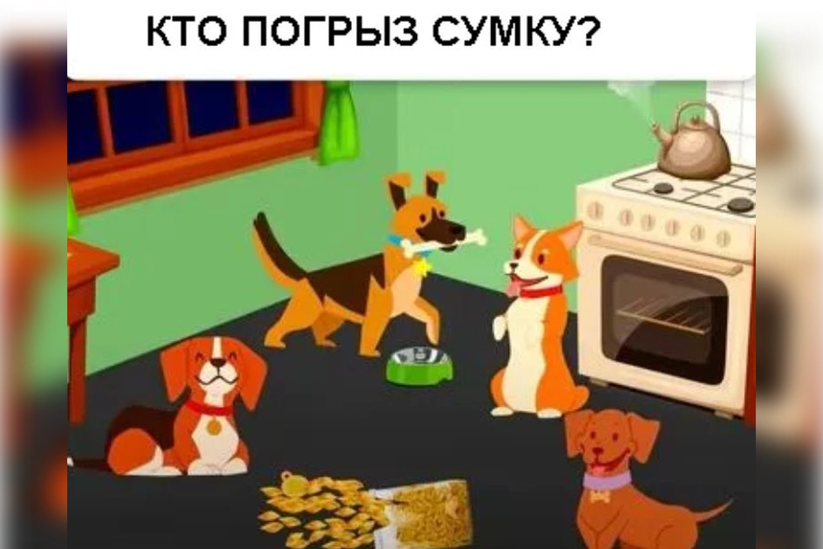 Тест: найдите шалуна среди собак за 12 секунд 1 o270726.10.24