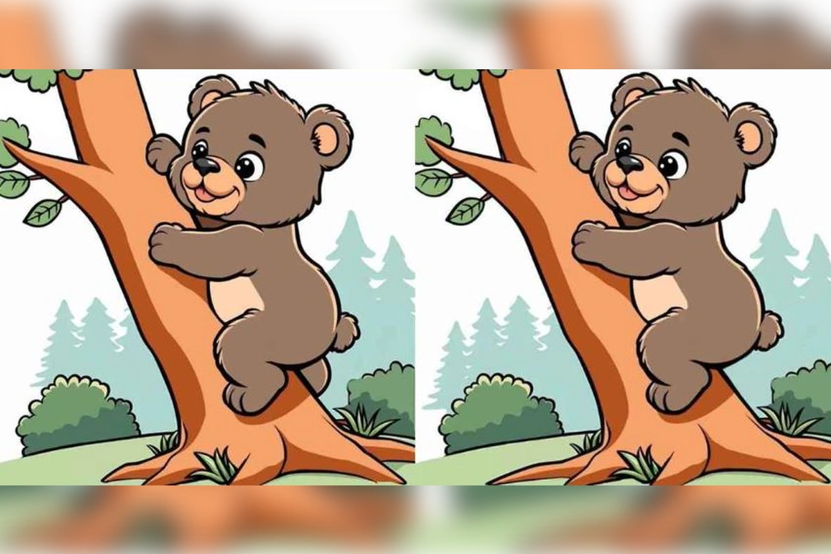 13 секунд на поиск: сможете найти все три отличия на картинках? 1 o120826.20.06