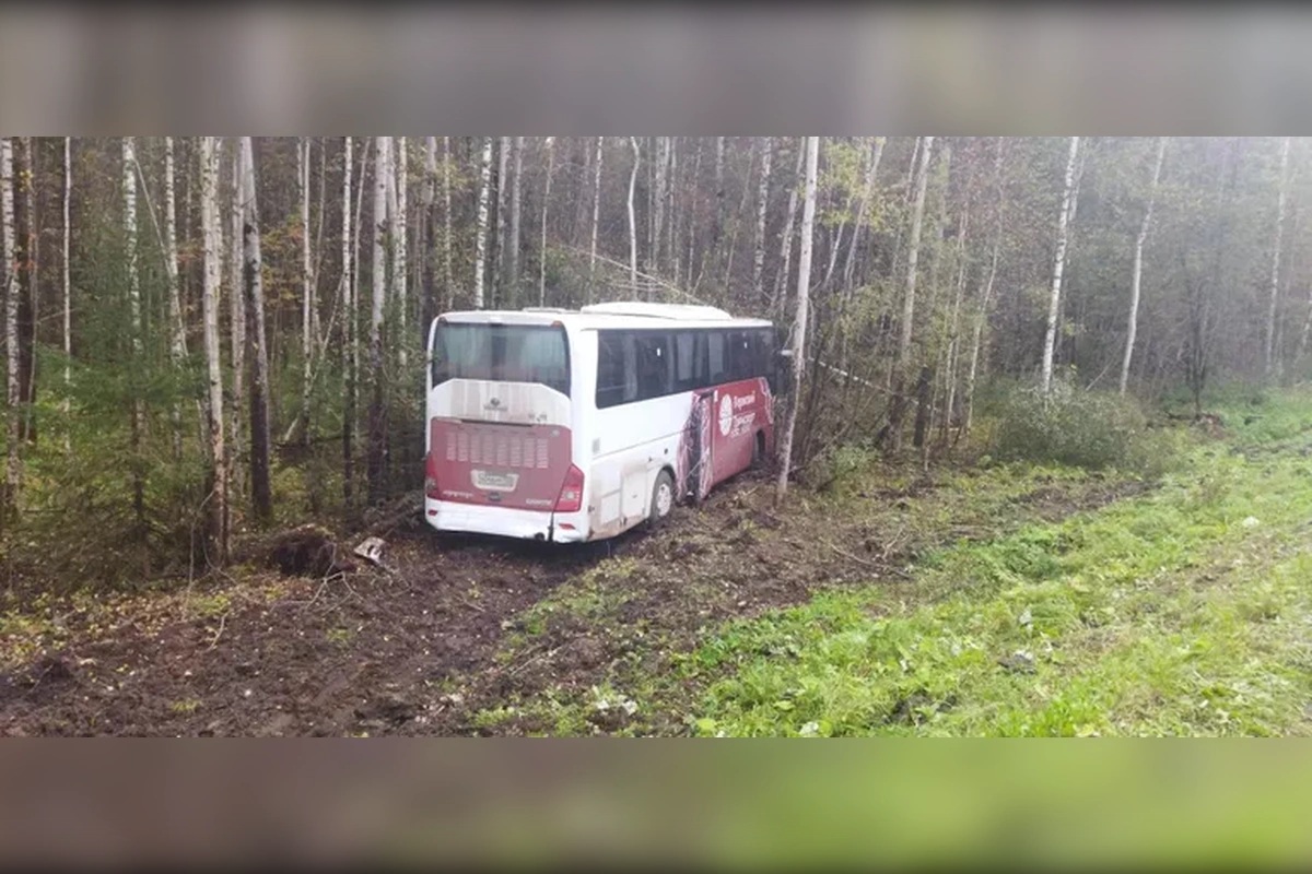 avtobus